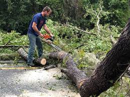 Best Lawn Grading and Leveling  in Woodland, WA